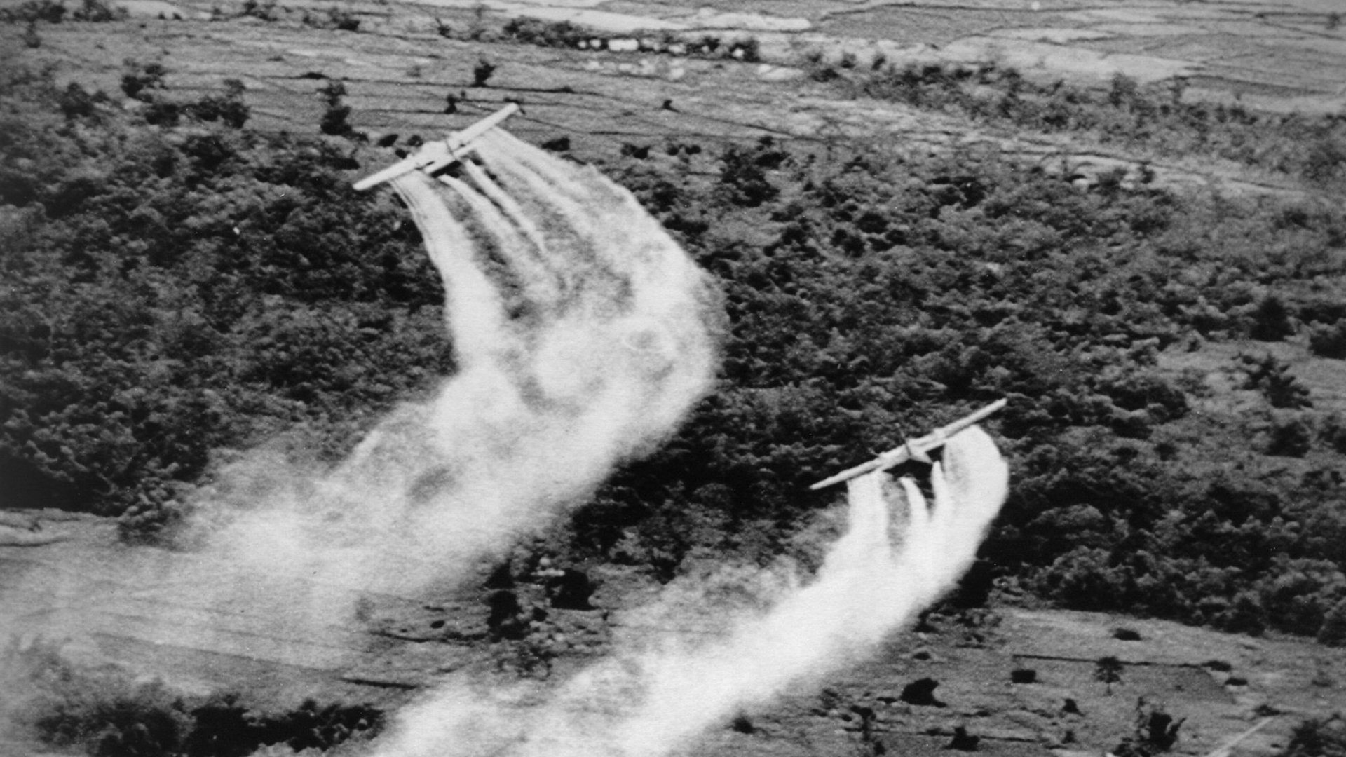 Agent Orange Exposure and Neuropathy