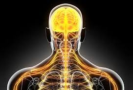Multiple Sclerosis and Neuropathy