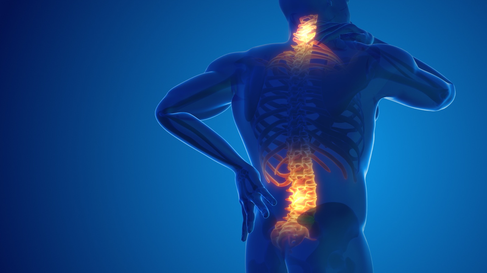 Spine & Disc Disorders
